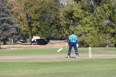 DSC_2344 (Large).JPG